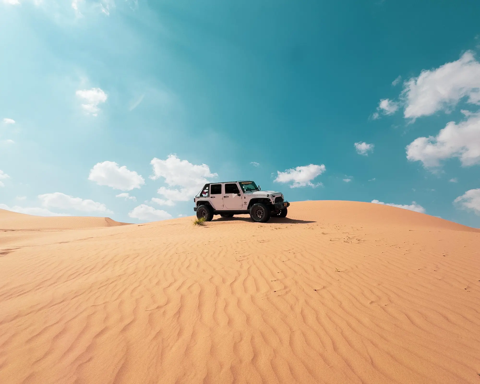Wahiba Sands desert expedition
